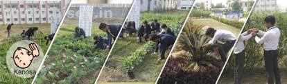 RIT BEST B.Sc. FORESTRY COLLEGE IN UTTRAKHAND