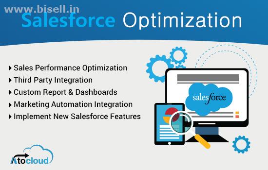 Salesforce Optimization Services India