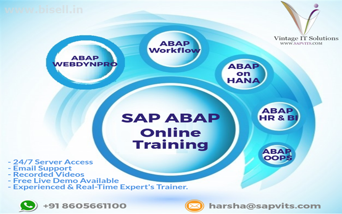 SAP ABAP Online Training in Pune.