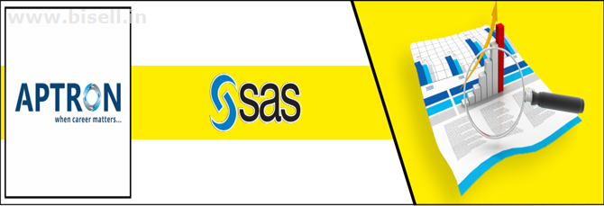 SAS Training in Delhi