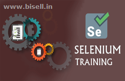 Selenium Training In Hitech City