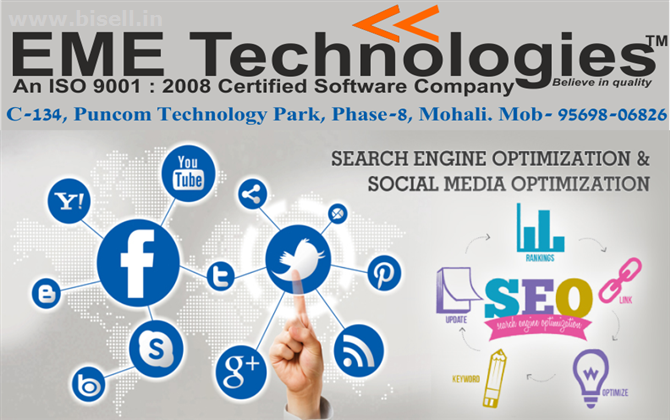 Seo Institute In Mohali