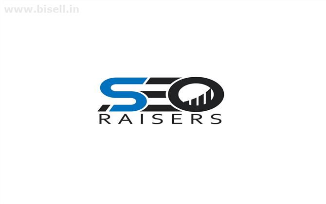 SEORAISERS - SEO Company in Chandigarh