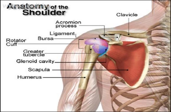 Shoulder Joint Replacement Surgery in Delhi