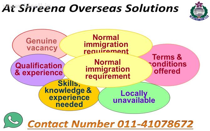 Shreena Immigration & Visa Consultancy Firms in Delhi