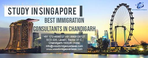 Singapore Immigration Agent in Chandigarh.