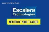 Startup Consulting and Training by Escalera Technologies 	