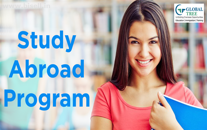 Study Abroad in Singapore , Abroad Education Consultants in Hyderabad –Global Tree .