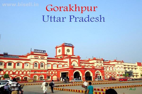 Taxi Service in Gorakhpur, Cab Service in Gorakhpur - Musafircab