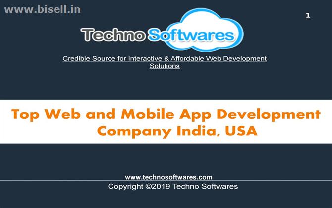 Techno Softwares: Web Development Company in Jaipur