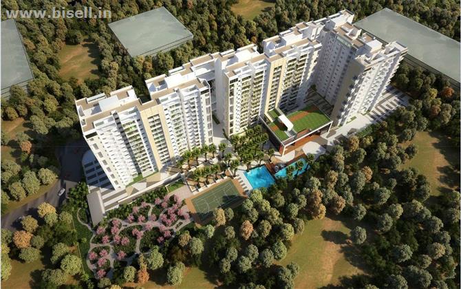 Top Apartments for Sale at Whitefield