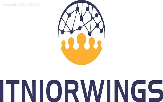 Top Web Development Company in india-Nish Itniorwings