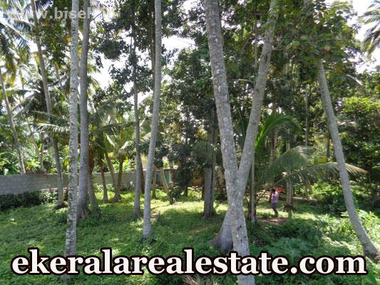 Vellayani  house plot for sale