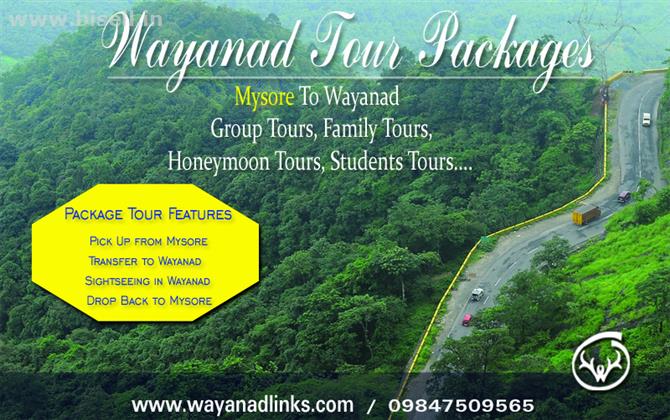 Wayanad Tour Packages