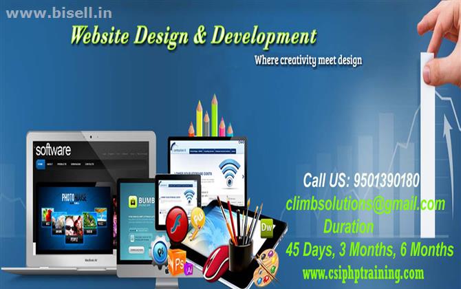 Web Designing Development Training