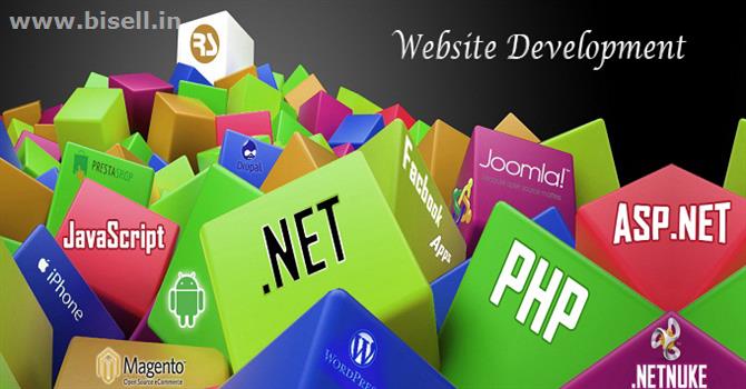 Website Designing Services in Delhi