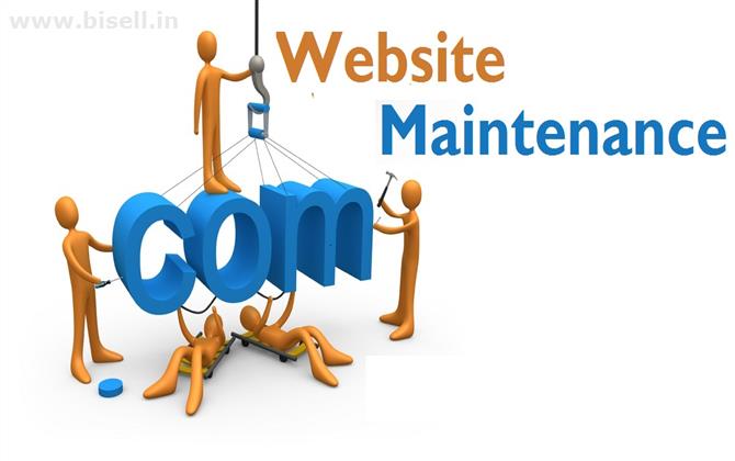 Website Maintenance Service In Delhi