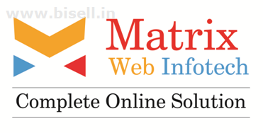 Wordpress Website Design in Udaipur Matrix Web Infotech