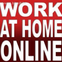 Work From Home - Govt Registered Company - online jobs