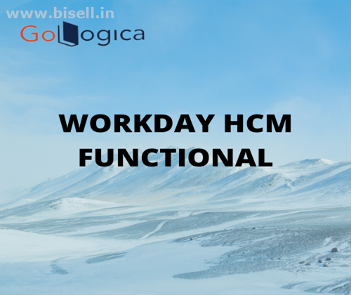 WorkDay HCM Functional online training