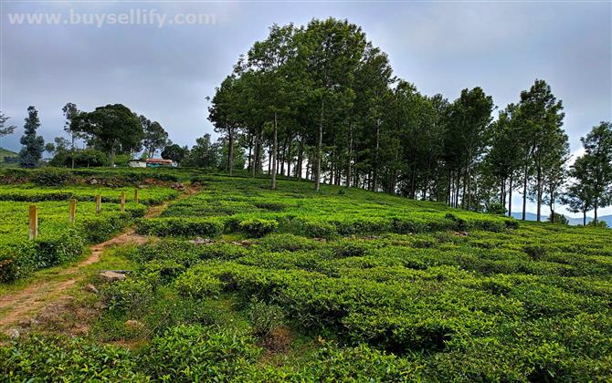 VISIT TO BUY AND SELL LANDS IN OOTY AREA UDHAGAMANDALAM , TAMILNADU .